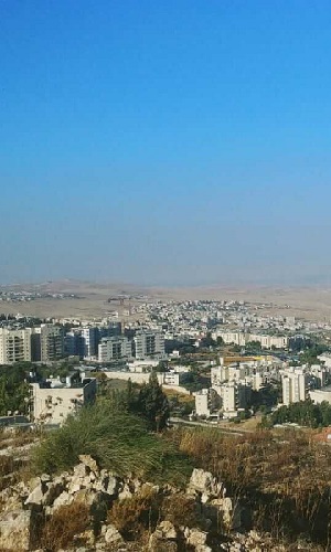תמונה של תלפיות