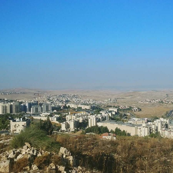 תמונה של תלפיות