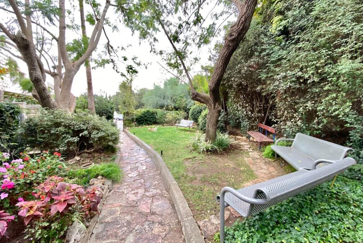 Garden in green
